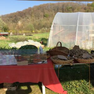 Au potager en herbé